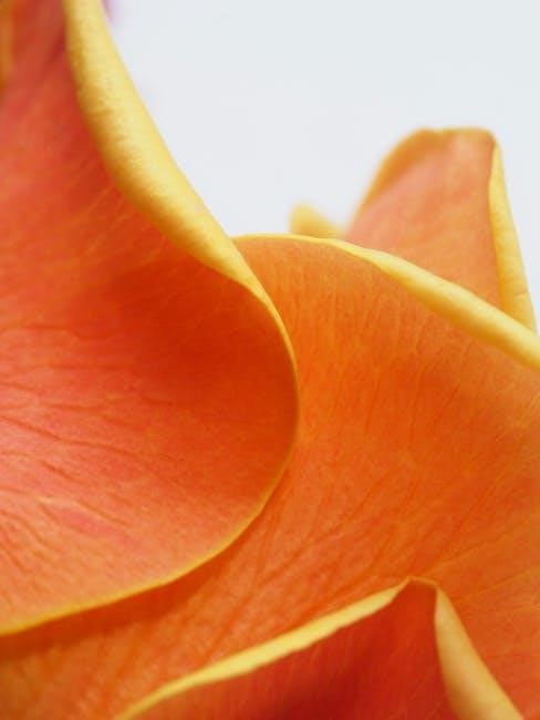 flower color guide